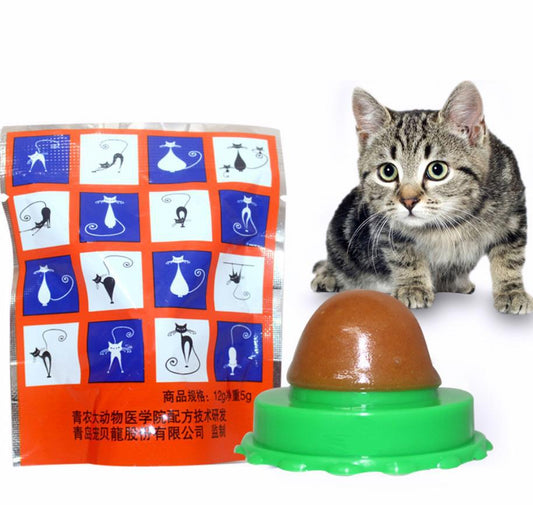 Pet Cat Sugar Cat Licking Le Cat Snack Fixed
