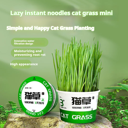 Lazy Cat Grass Canned Hydroponic Soilless Depilation Ball Digestive Snacks