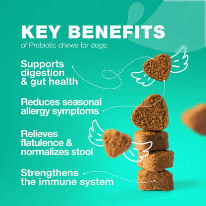 Probiotics For Dogs Support Gut Health Immunity Yeast Balance Itchy Skin Allergies Probiotics And Digestive Enzymes Coprophagia Deterrent For Dogs 180 Probiotic Chews For Dogs