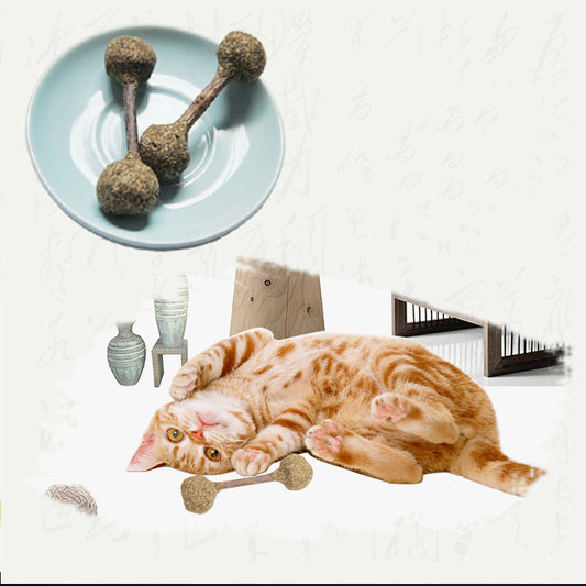Molar Clean Cat Catnip Stick Toy Silvervine Rod
