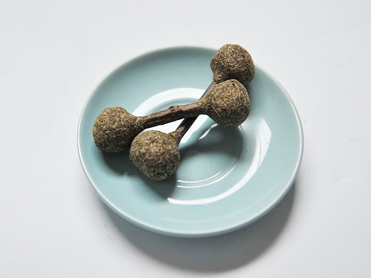 Molar Clean Cat Catnip Stick Toy Silvervine Rod