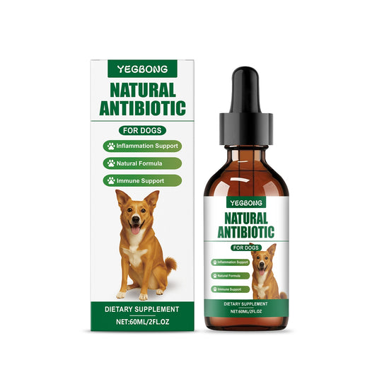 Natural Antibiotic For Dogs
