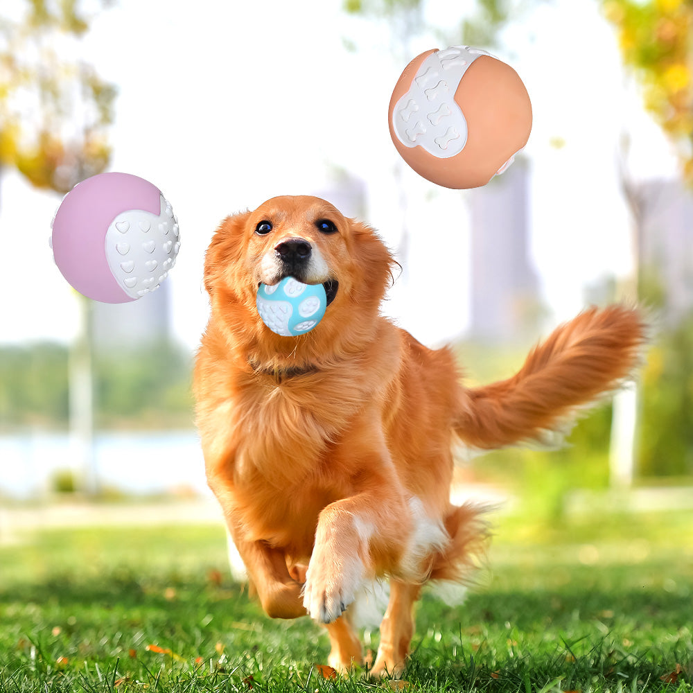 12 PCS Non-Toxic Dog Toy Ball Hard Rubber Solid Ball Cleaning Teeth Durable To Chew And High Rebound Great Pet Play Training Supplies