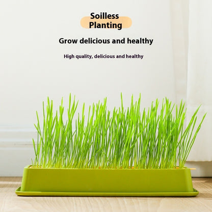 Soilless Hydroponic Wheat Cat Toy Seed Suit