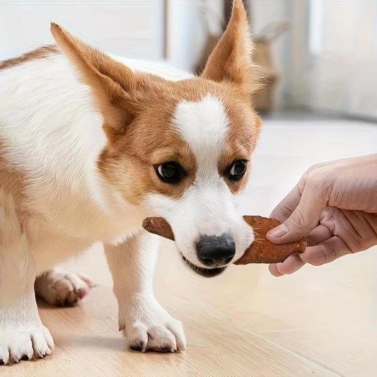 Pet-shaped Chik Chicken Wrapped In Rawhide Chewy Natural Meat Snack For Dogs Suitable For All Sizes.