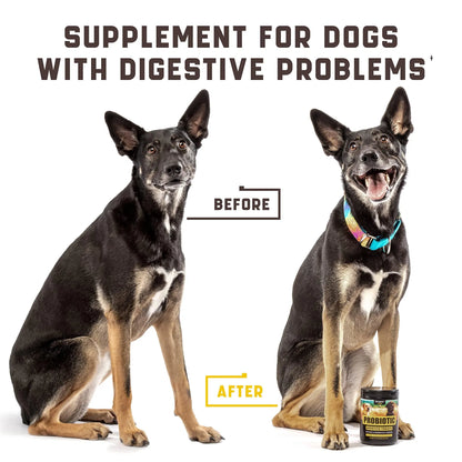 Probiotics For Dogs Support Gut Health Itchy Skin Allergies Yeast Balance Immunity Dog Probiotics And Digestive Enzymes For Small Medium And Large Dogs 180 Probiotic Chews For Dogs Duck Flavor