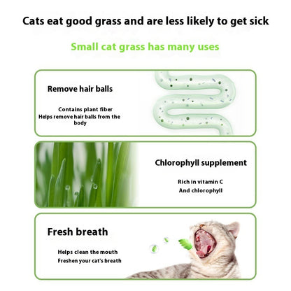 Lazy Cat Grass Canned Hydroponic Soilless Depilation Ball Digestive Snacks