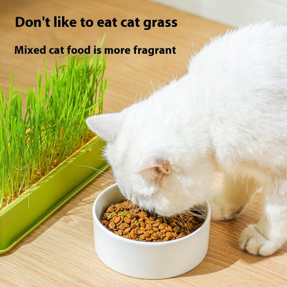 Soilless Hydroponic Wheat Cat Toy Seed Suit