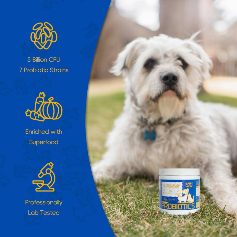 Bark And Meow Probiotics For Dogs & Cats 7 Tailored Strains Prebiotics, Pumpkin & Carrot 5 Billion CFU Scoop Human-Grade, Non-GMO, Vet-Approved, Made In USA, Gut & Immune Support
